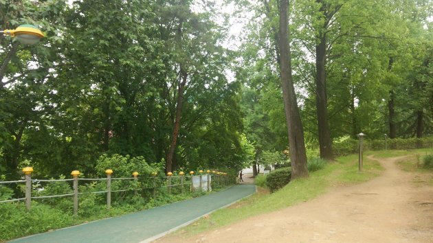 常緑公園の散策路